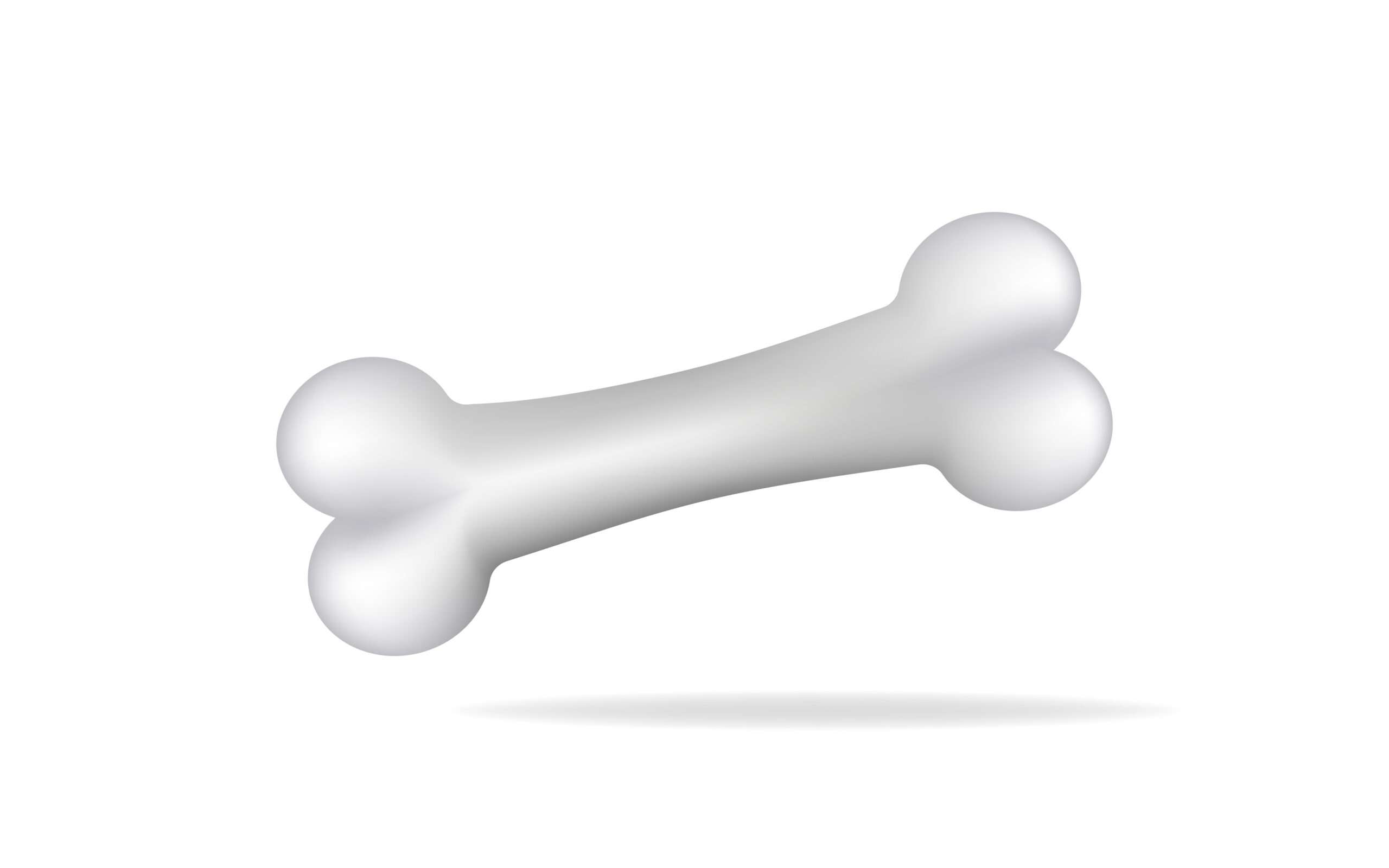 白い背景に白い犬の骨。 （変化なし）