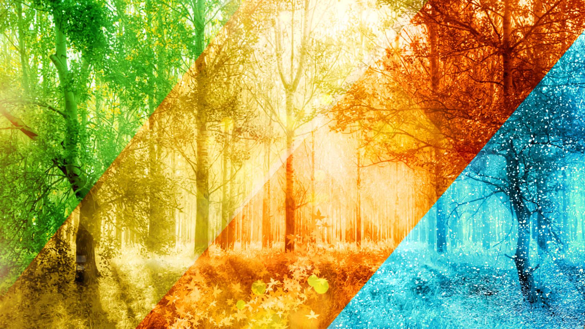 スペインの森の木々を描いたカラフルな絵。