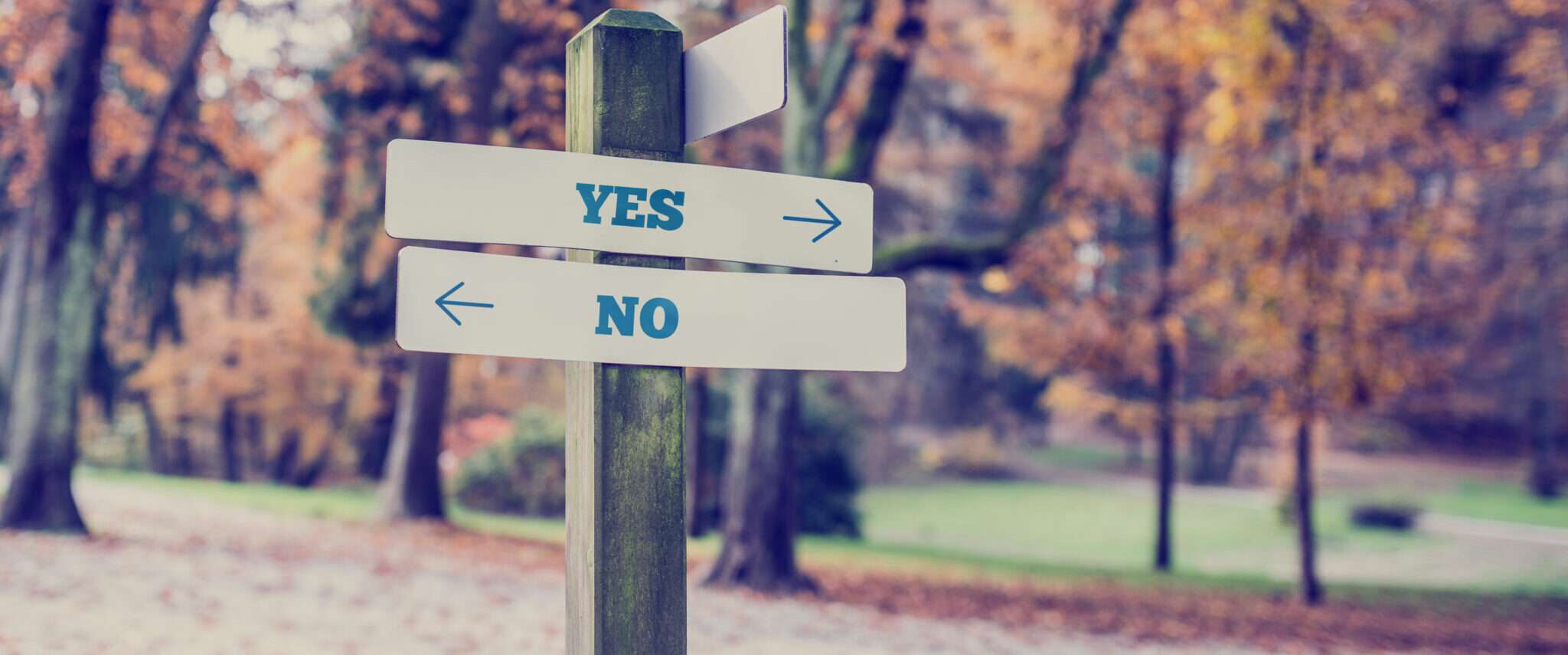 「はい」と「いいえ」という言葉が異なる方向を指している木の看板。