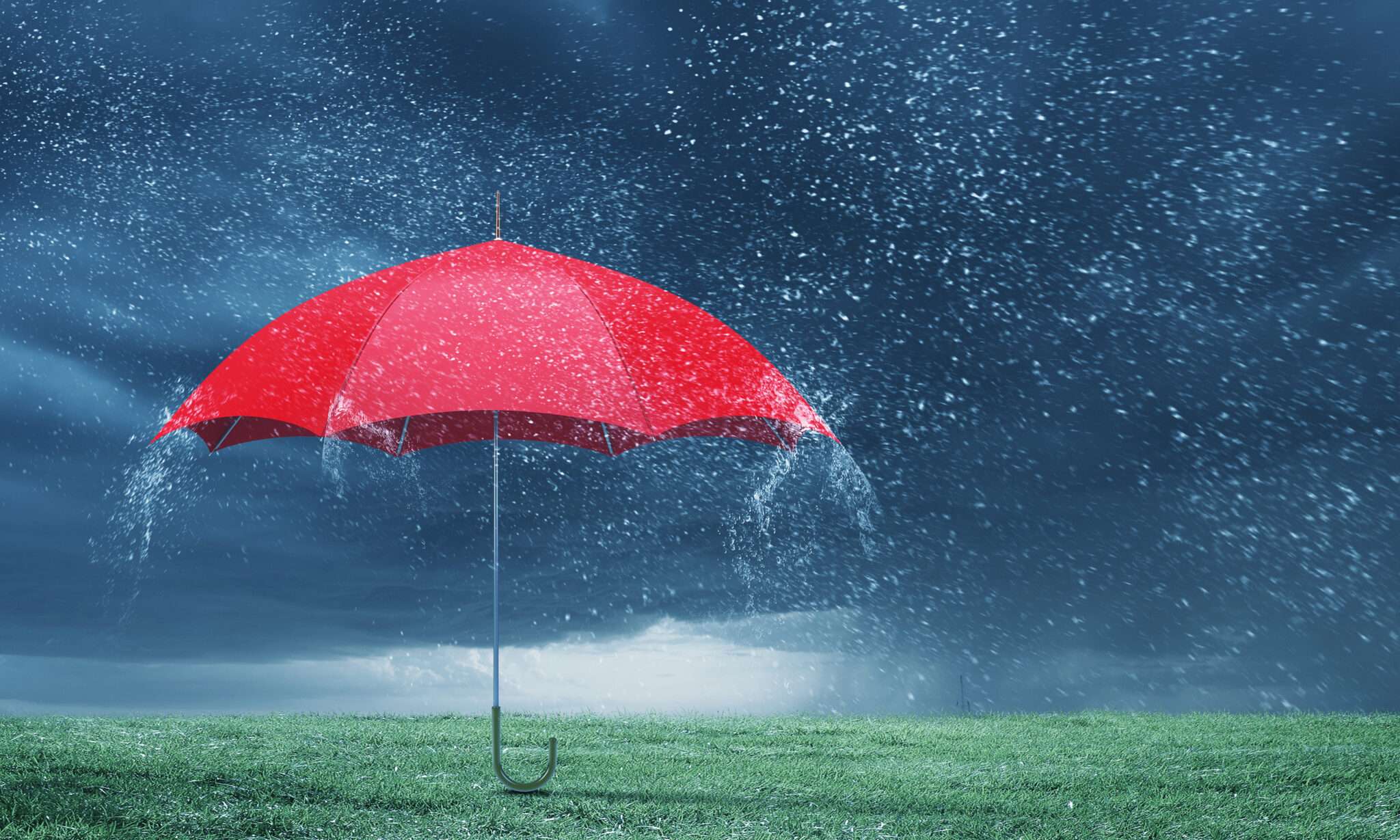 緑の野原の真ん中に赤い傘があります。