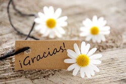 スペイン。紙の上に「gracias」という言葉が書かれたヒナギク。