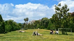 スペインの芝生の野原に座る人々のグループ。