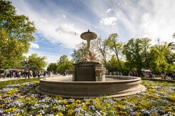 スペイン公園に囲まれた噴水。