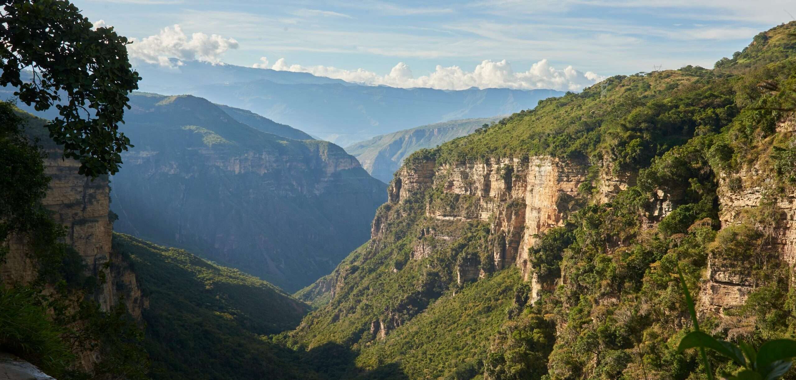 スペインの背景に木々や山々がある峡谷。