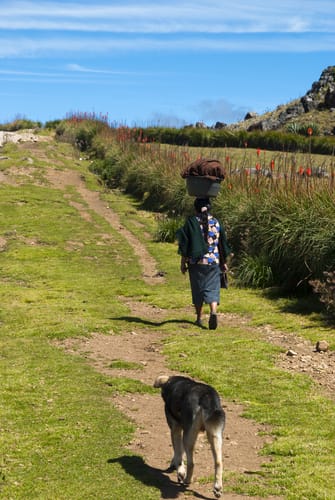 スペインで犬と散歩する女性。