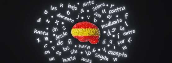 スペイン国旗のような形をした脳に、スペイン語の「あうん」と「あうん」の違いを表す言葉が書かれています。