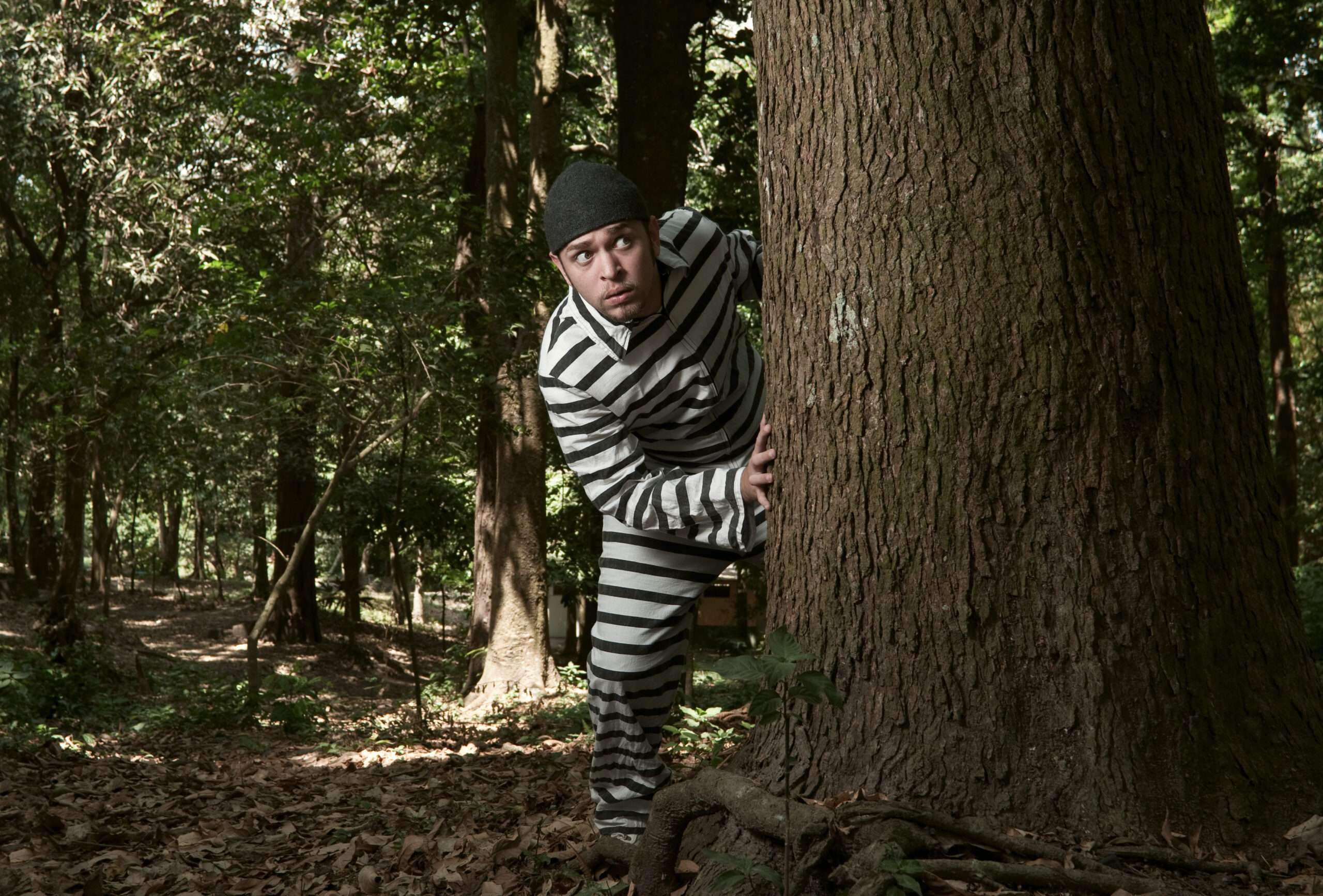 木にもたれかかる縞模様のスーツを着た男性。

キーワード: スペイン語、正しい使い方