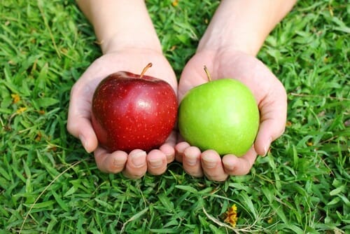 スペイン 赤と緑のリンゴを持つ 2 つの手。 スペイン 赤と緑のリンゴを持つ 2 つの手。