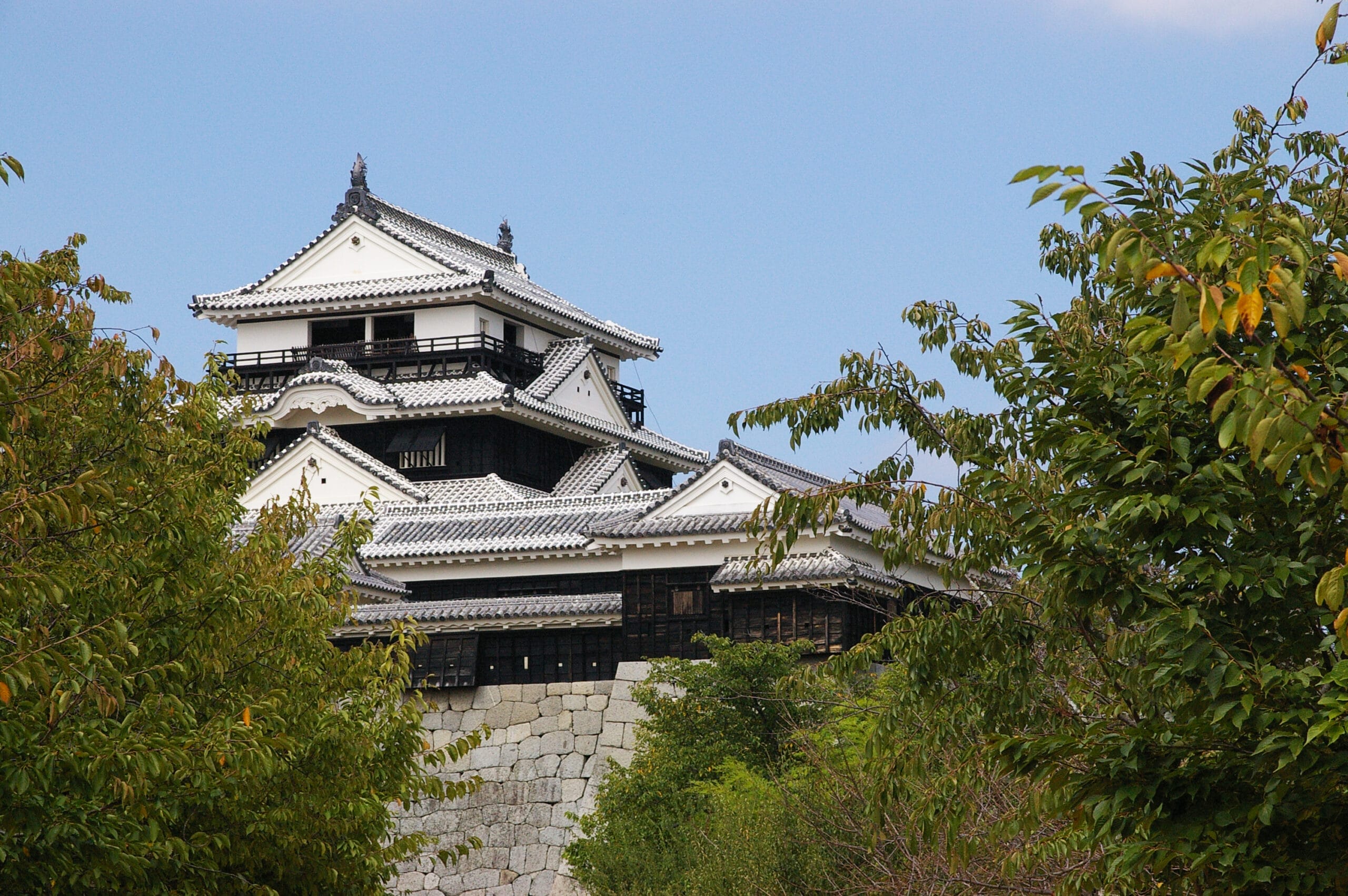 愛媛・松山には、澄み切った青空の下、緑の木々に囲まれた白い壁と段々屋根の伝統的な日本の城が堂々と建っています。.